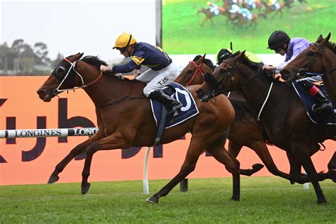 Wild Planet Wins The Rosehill Gold Cup: Post Race Trainer And .